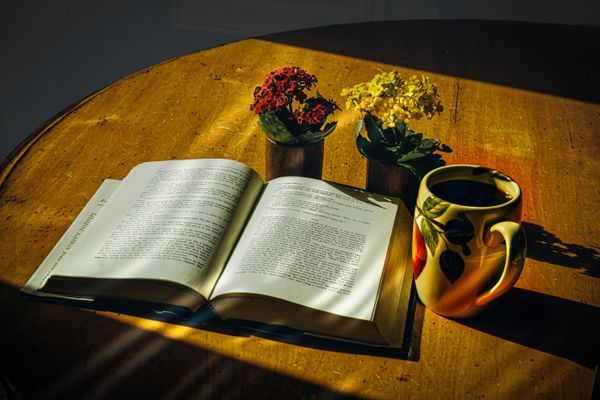 Still Life