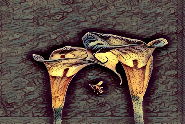 Abstract Art Pop Art Pointilism and More