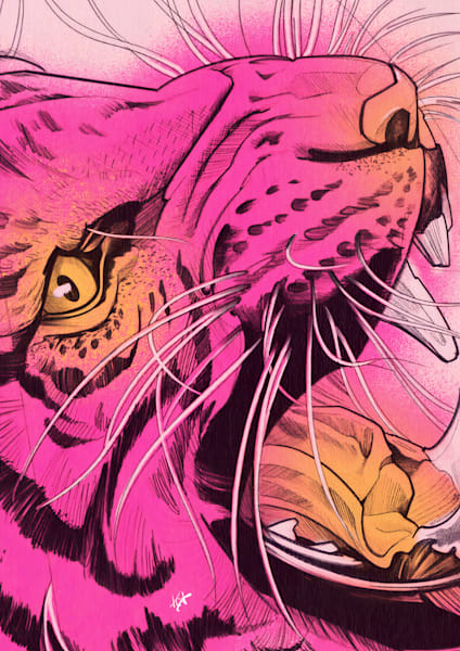 Fine Art Prints