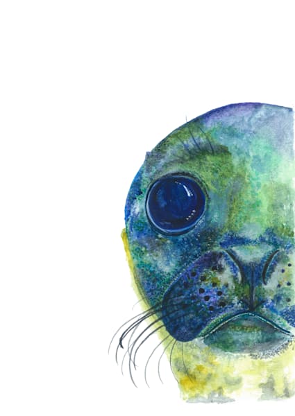 Creatures of the Cornish Sea