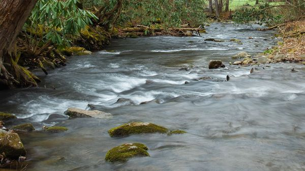 Creeks, Strreams, & Rivers of The Smoky Mountains