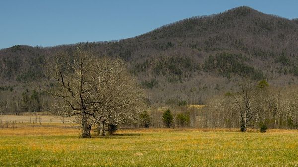 Landscapes