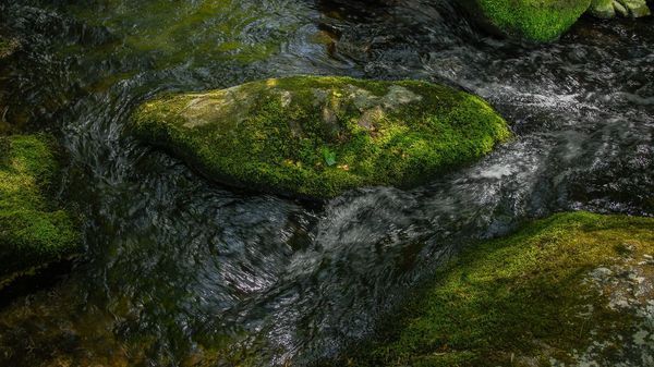Creeks, Strreams, & Rivers of The Smoky Mountains
