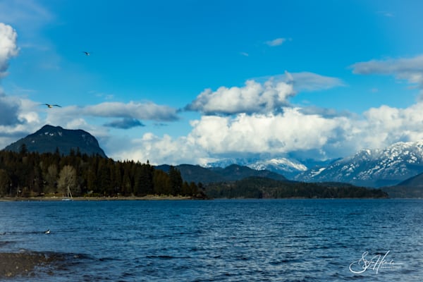 Armours Beach