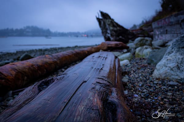 Moody Waterscape