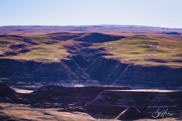 Vast Prairies