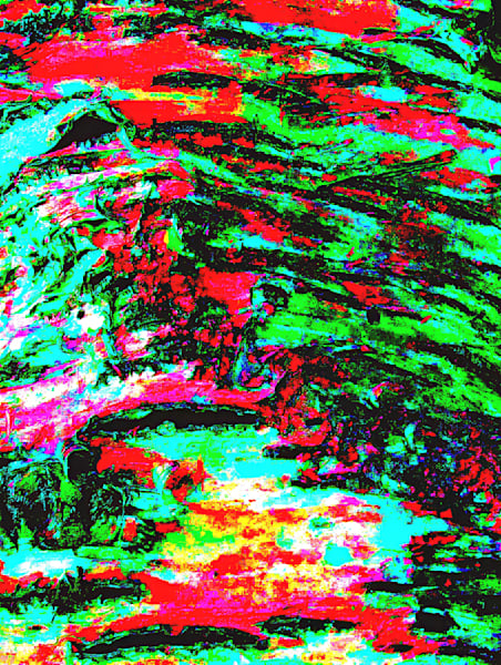 Tree Bark Art