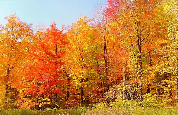 Autumn Colors
