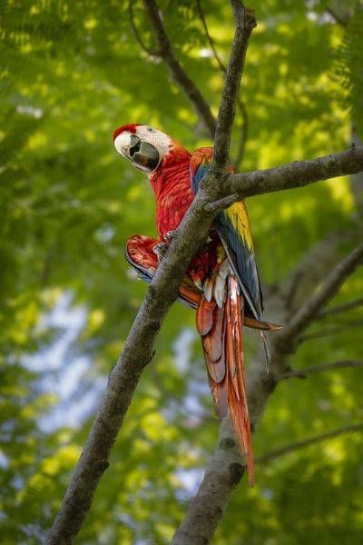 Costa Rica