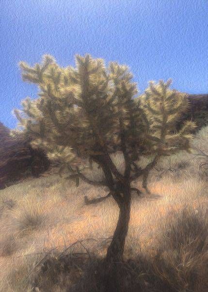 St. George, Utah