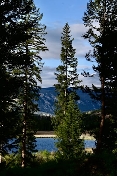 Reflections of Tranquility