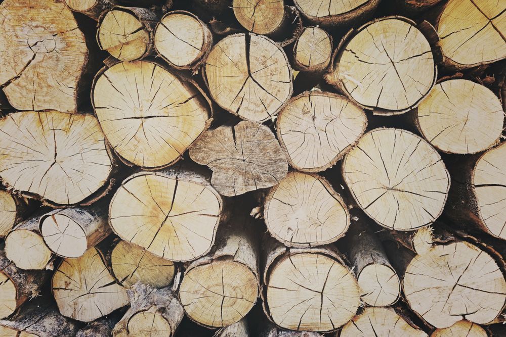 Wood Art | markosecondsite