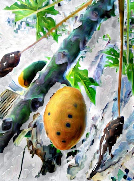 Digital Art & Prints for Hotels, Restaurants, Office, Other