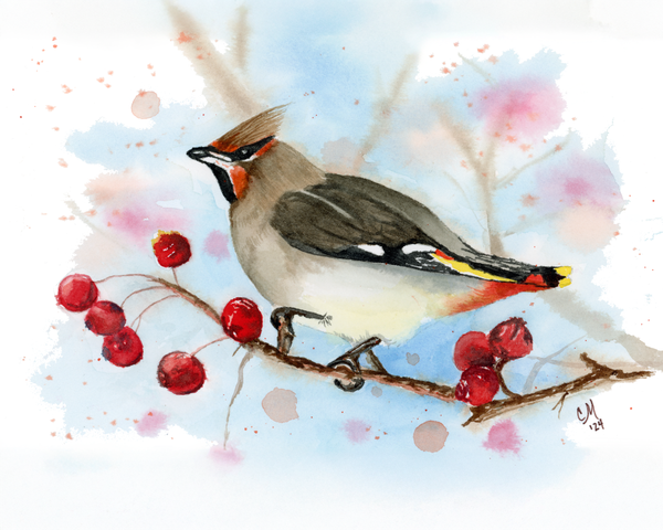 Birds