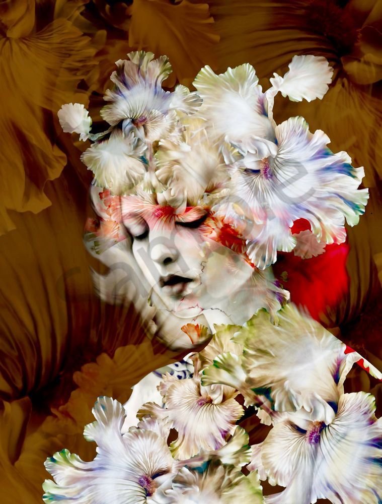 Full Bloom Art | Lize Krüger Studio