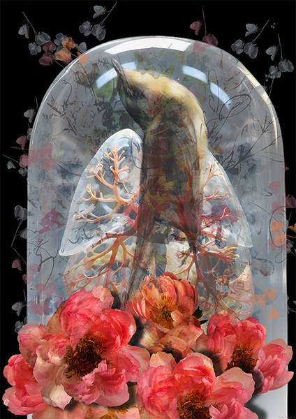 The Caged Sky I Art | Lize Krüger Studio