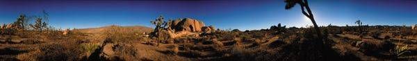 Joshua Tree Panorama - Edition of 25
