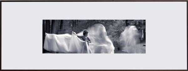 Ghosts In The Redwood 2/300 48x18 | Treve Johnson Photography, Inc.