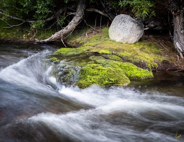 Mossy Stream