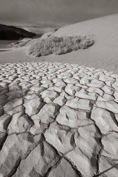 Mesquite Dunes 16x24 Canvas | Treve Johnson Photography, Inc.