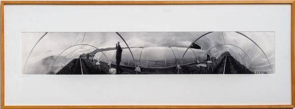 Sacred Ritual Of The Willow Cuttings 51x19 Wood Frame | Treve Johnson Photography, Inc.