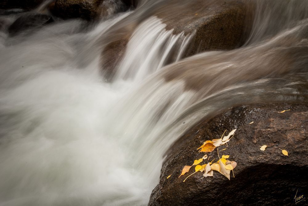 Waterfall with Patch of Color