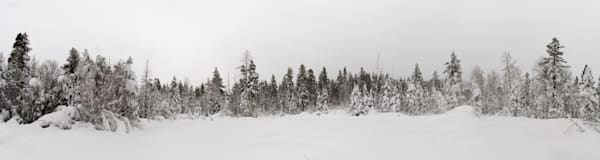 Trees Om Winter 45x12 Limited Edition Photography Art | Treve Johnson Photography, Inc.