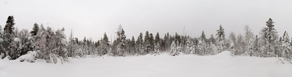 tjp_752_6796_01