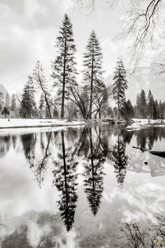 Silent Reflections. Merced River in Yosemite