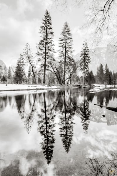 Silent Reflections. Merced River in Yosemite
