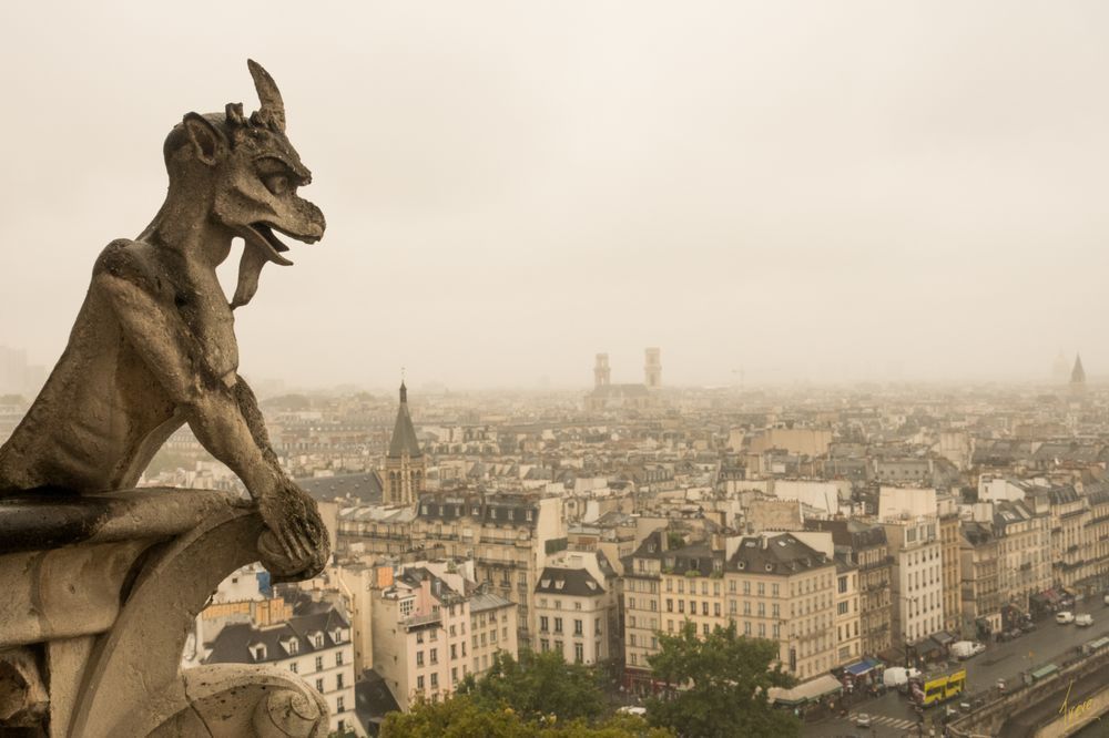 Gargoyles. Cathédrale Notre-Dame de Paris.