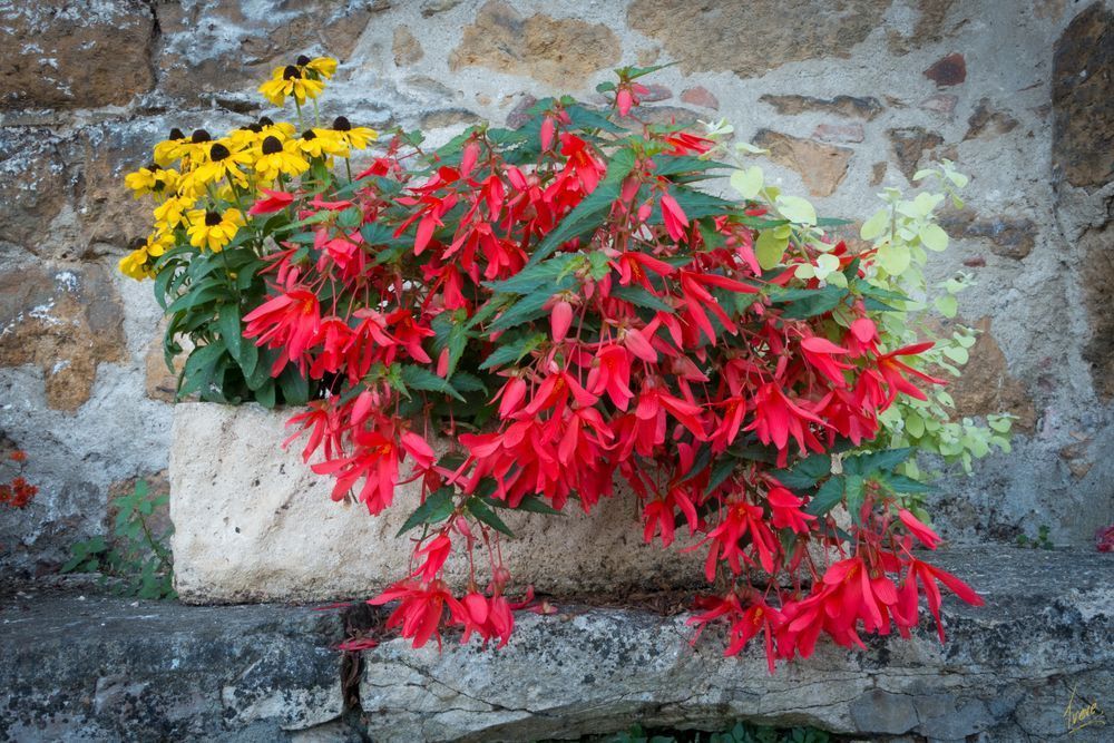 Planter box. France