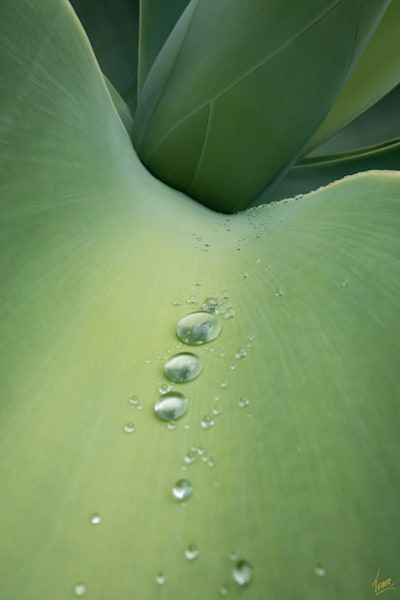 Signs Of Rain Photography Art | Treve Johnson Photography, Inc.