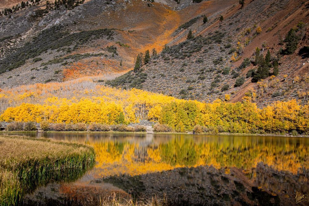 Aspen at North Lake