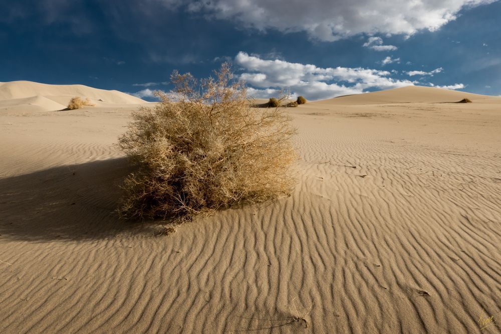 Eureka Dunes #4