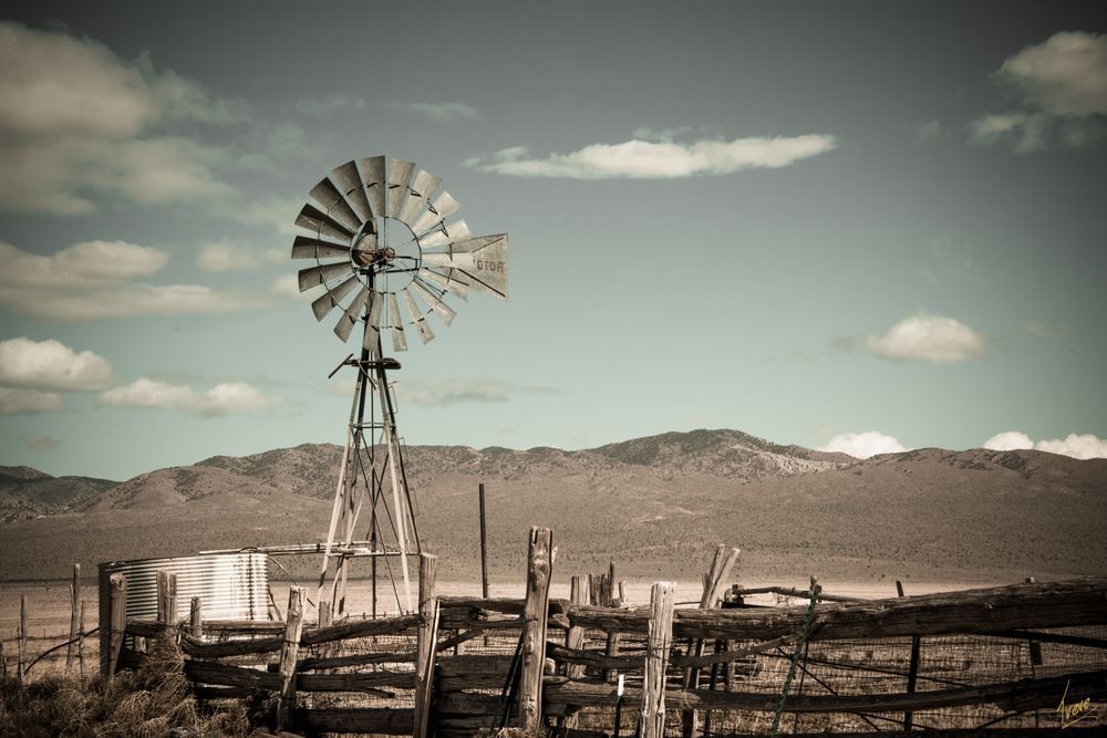 Title: tjp_2118_8507849