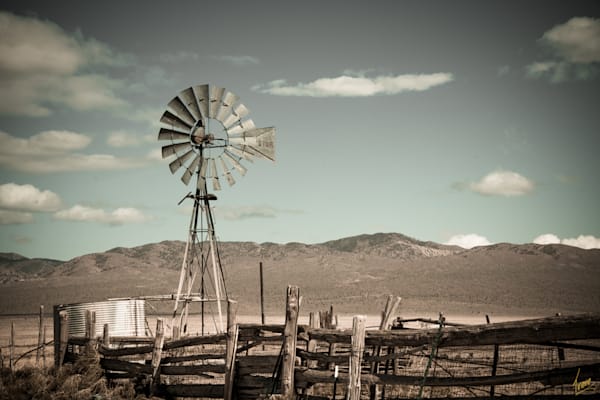 Title: tjp_2118_8507849