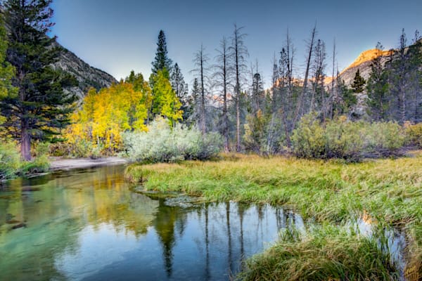 Fall Color Along Bishop Creek