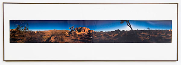 Joshua Tree 3/100 60x20 Photography Art | Treve Johnson Photography, Inc.