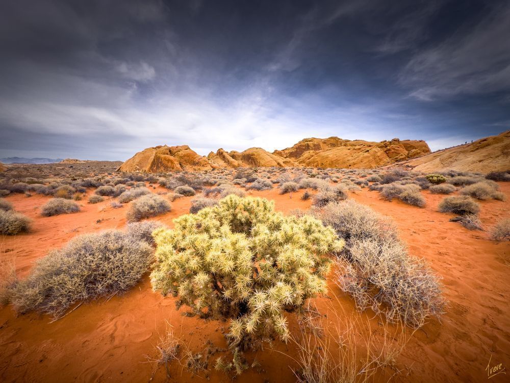 Vibrant Red Sands and Rocky Formations in Desert Artwork