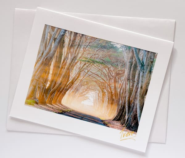 Card   Tree Tunnel. Point Reyes. | Treve Johnson Photography, Inc.