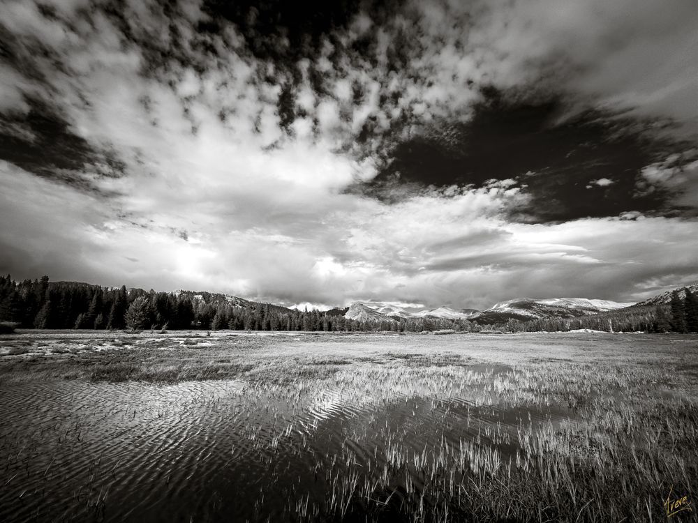 Tuolumne Meadows Photography Art | Treve Johnson Photography, Inc.