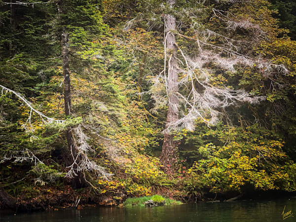 Autumn Whispers On The Albion Photography Art | Treve Johnson Photography, Inc.