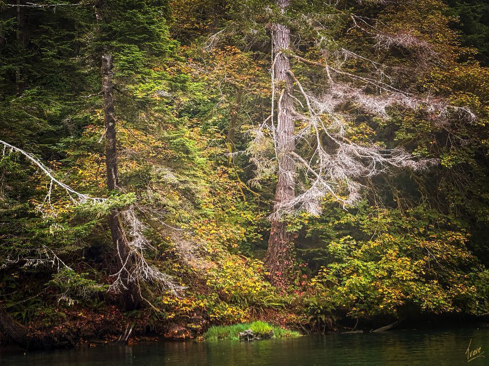 Autumn Whispers On The Albion Photography Art | Treve Johnson Photography, Inc.