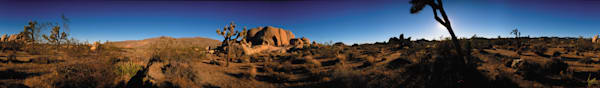 Joshua Tree Photography Art | Treve Johnson Photography, Inc.
