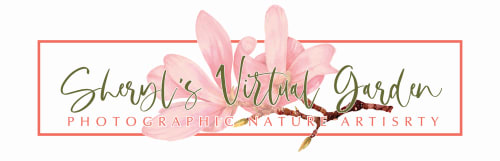 Sheryl's Virtual Garden