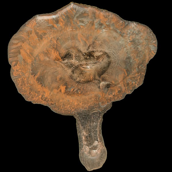 Terminal Flow Photography Art | Mark Ruckman Fine Art