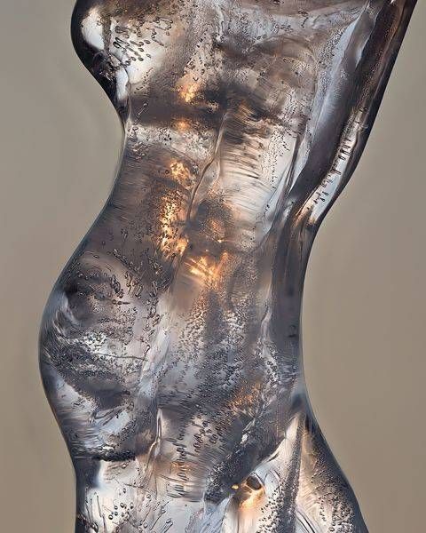 Frozen Torso