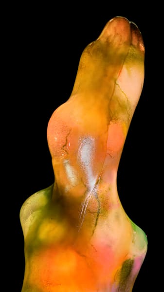 Gilded Spine Photography Art | Mark Ruckman Fine Art