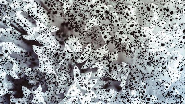 Dalmatian